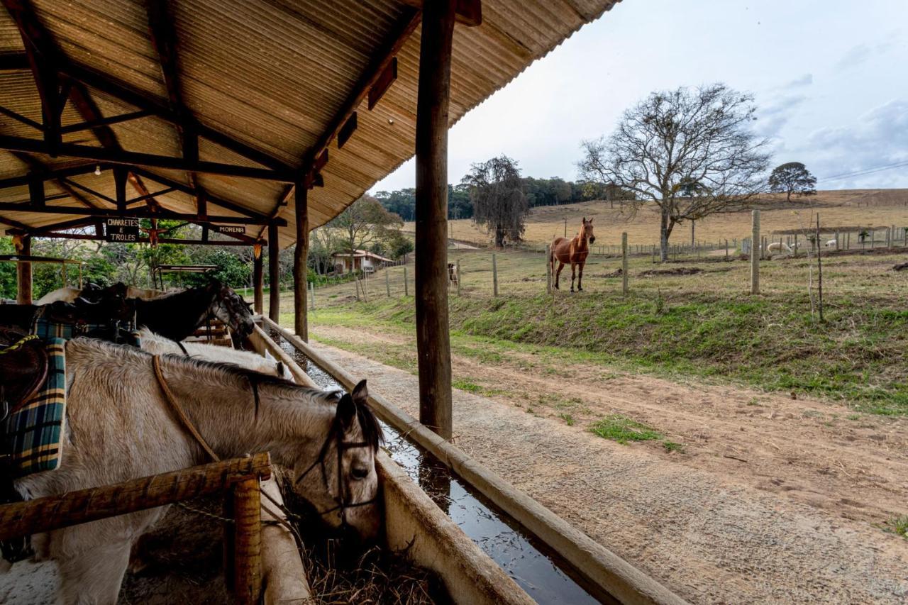 Hotel Fazenda Colina Dos Sonhos Socorro  Exteriör bild