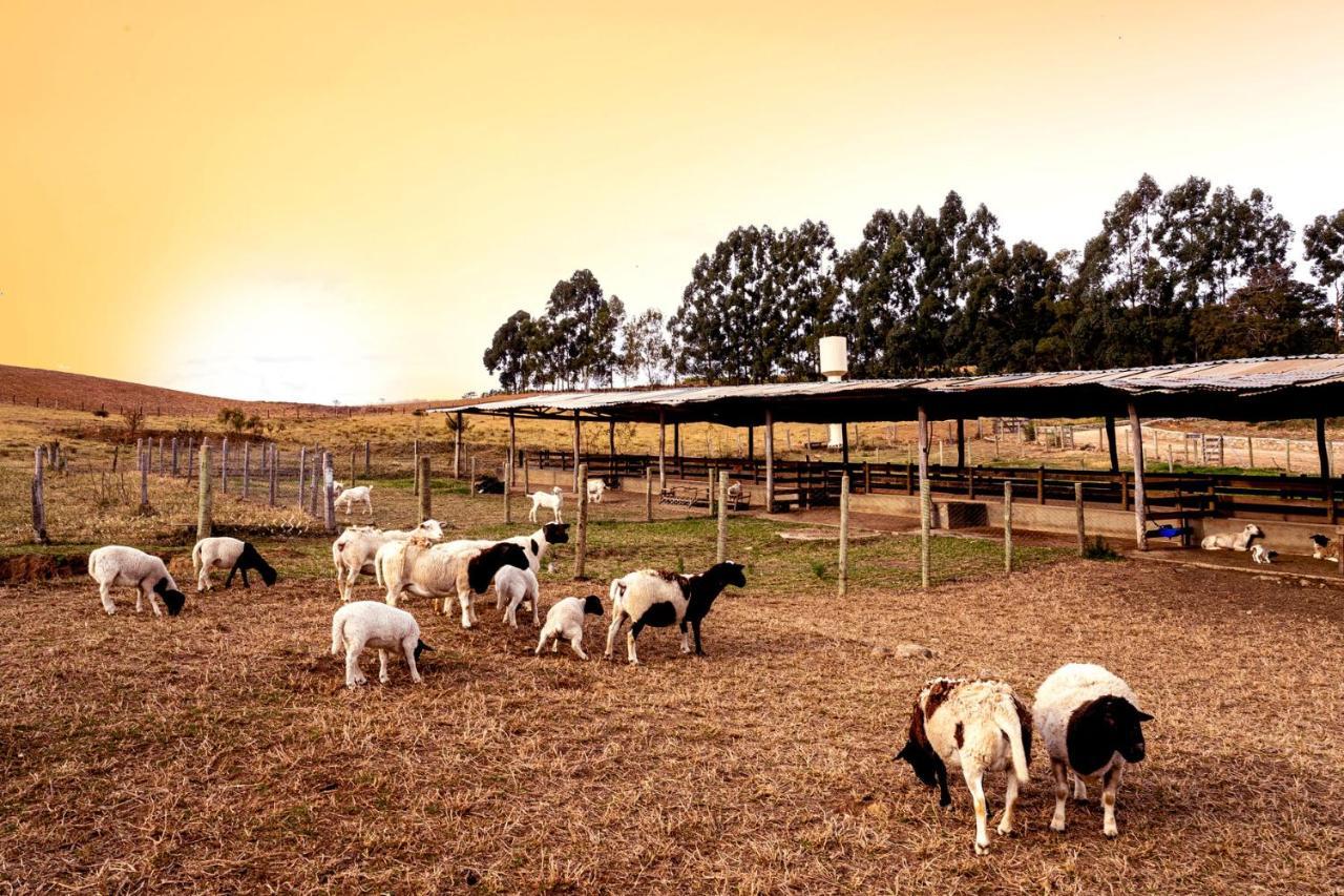 Hotel Fazenda Colina Dos Sonhos Socorro  Exteriör bild